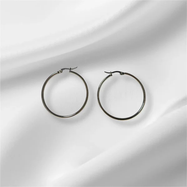 Stainless Steel Hoop Earrings - In Gold and Silver - Image 2